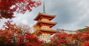 best esim for japan feature image