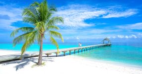 best esim for fiji feature image