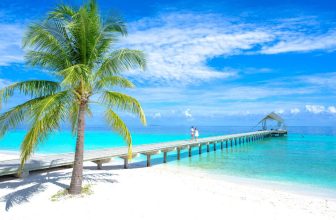best esim for fiji feature image