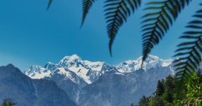 best esim for new zealand feature image