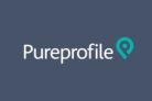 PureProfile: Build a small, steady income