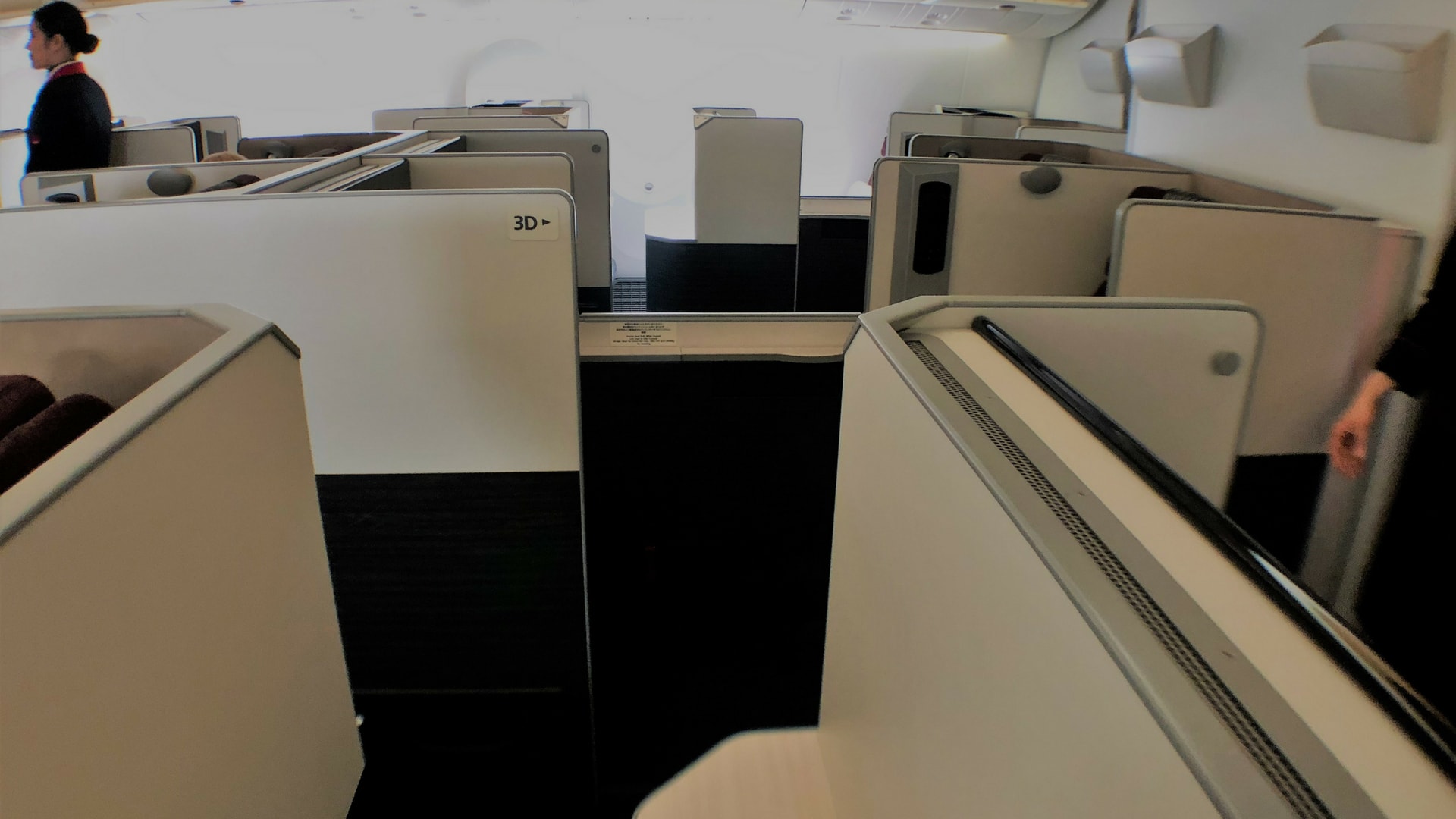 japan airlines business class (2)