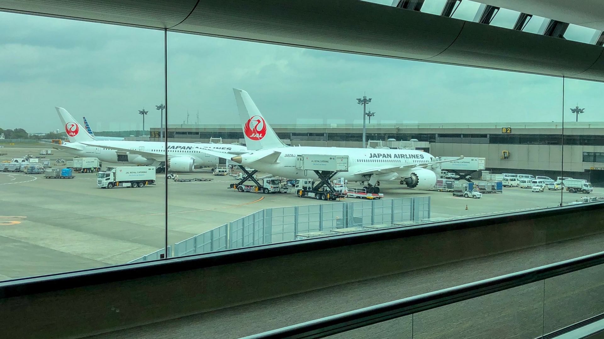 japan airlines business class review tokyo to melbourne