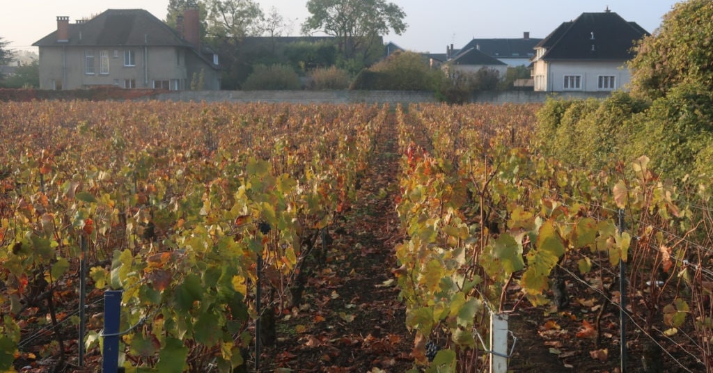 visit champagne