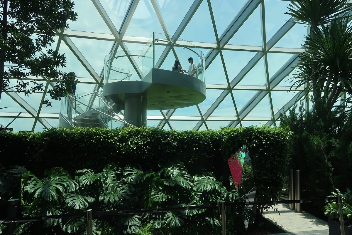 Jewel Changi Singapore Airport canopy mazes