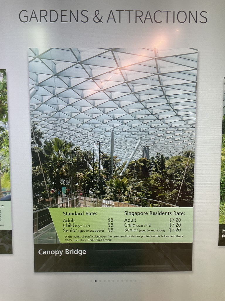 jewel changi airport clear glass canopy bridge walk