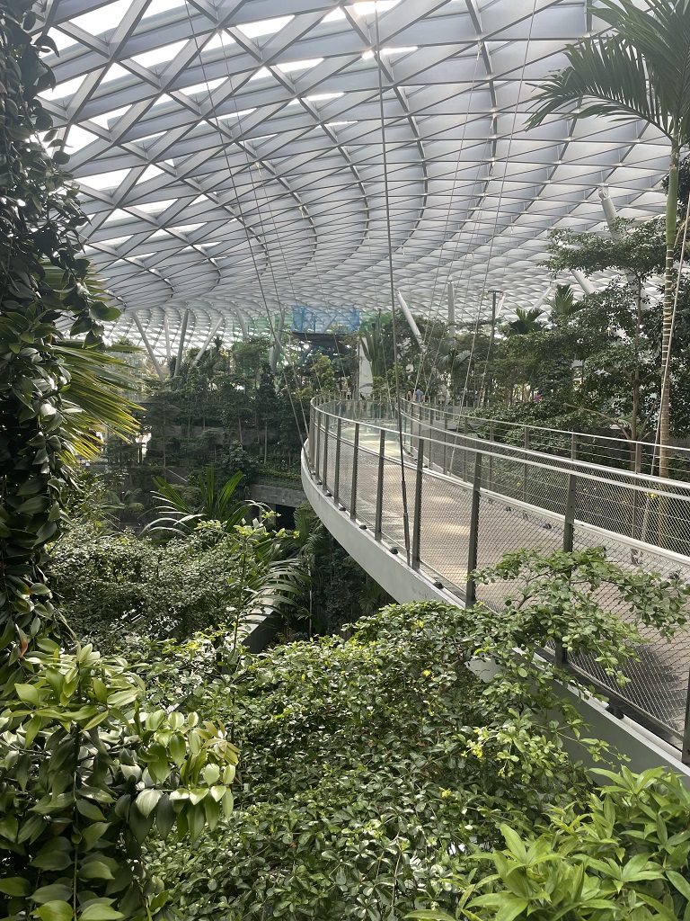 jewel changi airport clear glass canopy walk