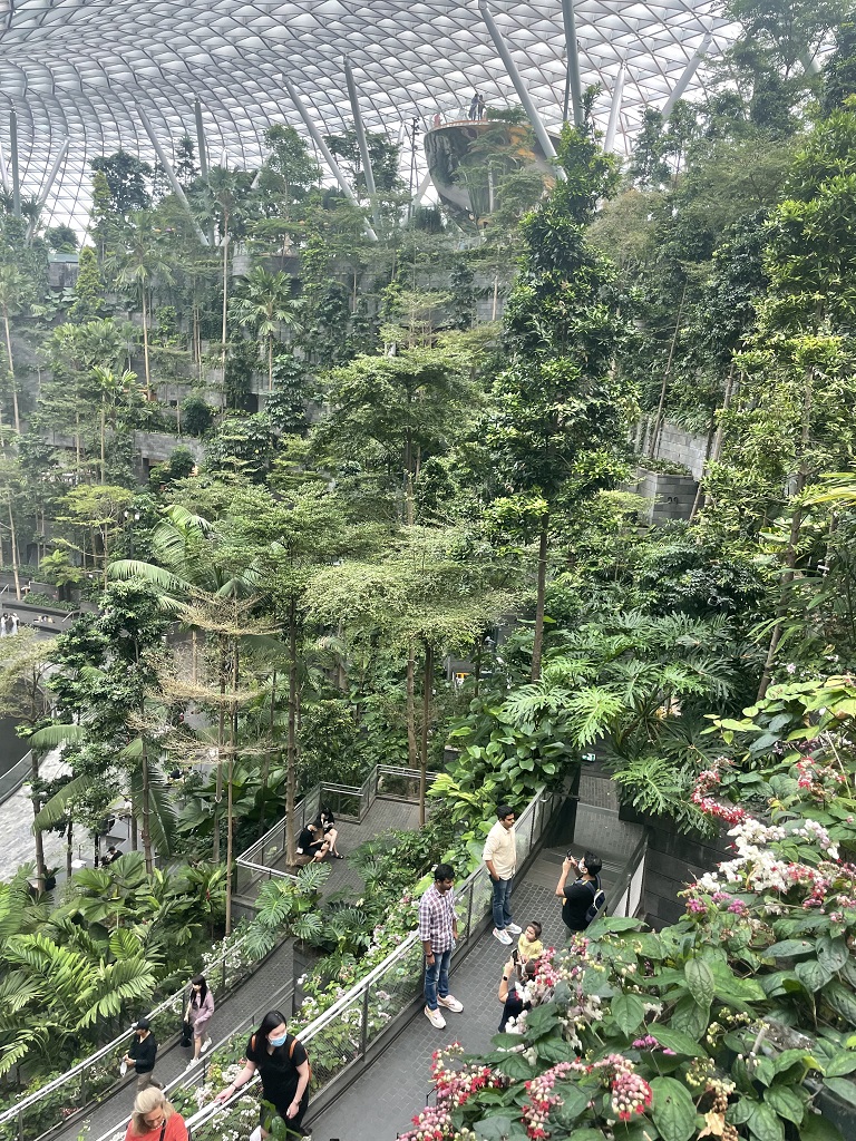 jewel changi airport waterfall vortex