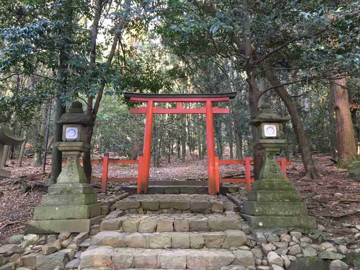 nara deer park