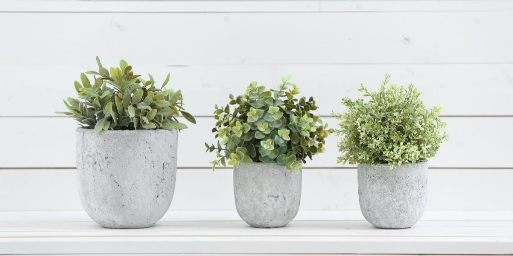 best gifts for mums pot plant image
