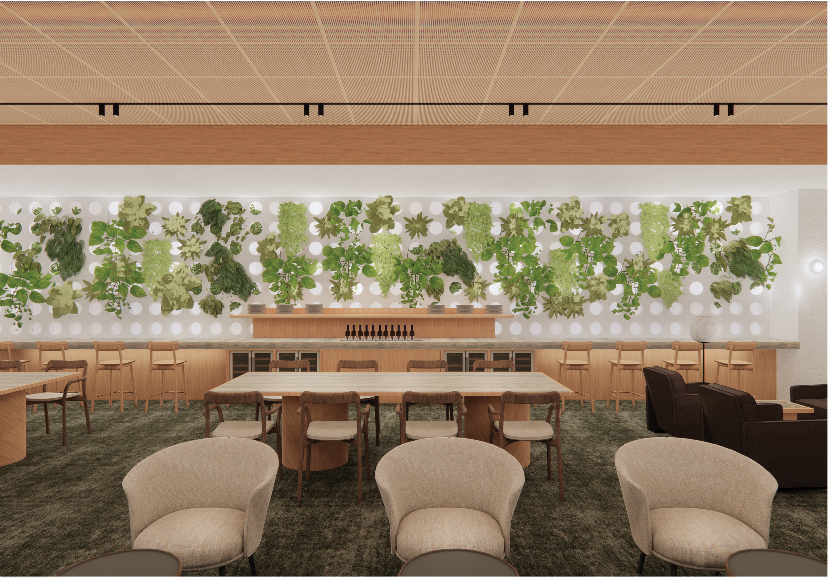 qantas-auckland-international-lounge-image-2 Qantas Lounge Guide: Discover all of Qantas' plans