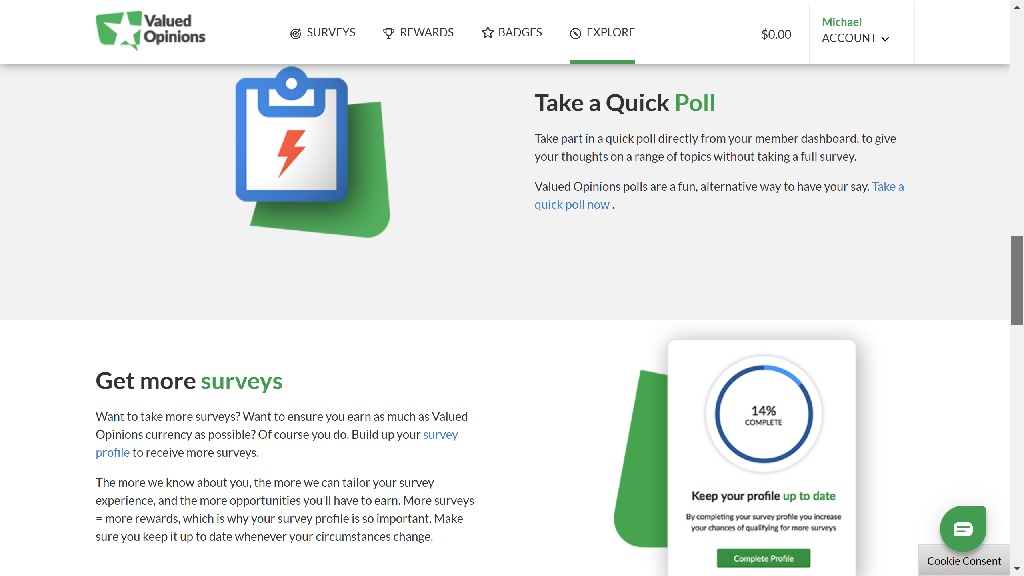Valued Opinions Australia Honest Review & Rewards Guide
